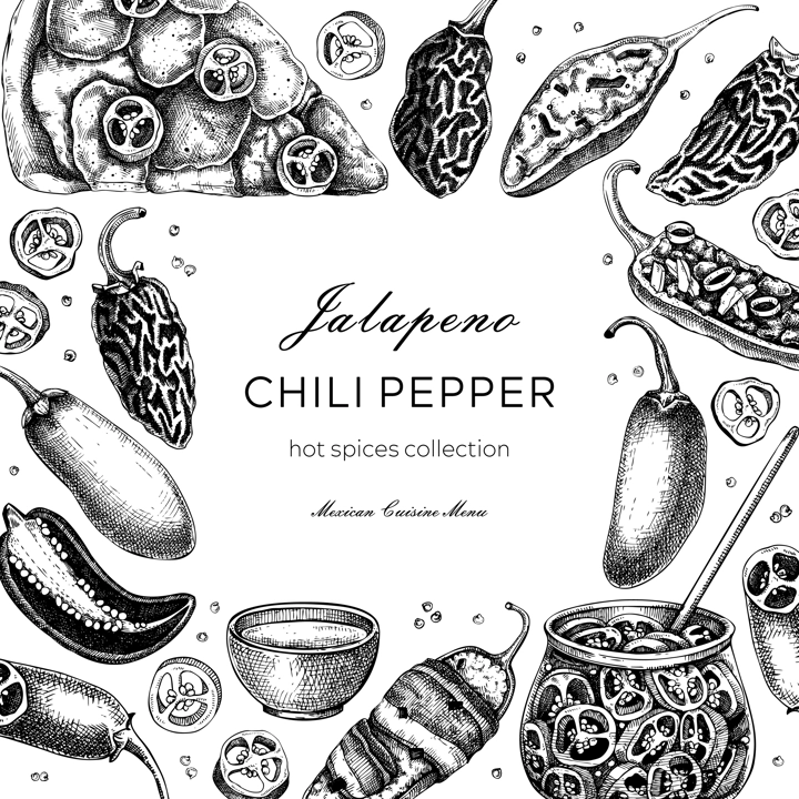 Mexican cuisine menu restaurant frame design. Ripe jalapeno chili pepper sketches. Hot spices, vegetarian, healthy food hand drawn vector illustration. Jalapeno with slices and seeds for packaging